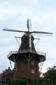 Moulin Welvaart (Prosperit) Mensingeweer / Pays Bas: 