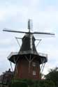 Welvaart Molen Mensingeweer / Nederland: 