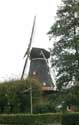 The Four Winds Mill Pieterburen / Netherlands: 
