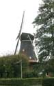 Molen De Vier Winden Pieterburen / Nederland: 