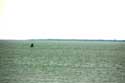 Vue sur Mer des Waddes (Waddenzee) Lauwersoog / Pays Bas: 