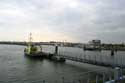 View on Harbor Lauwersoog / Netherlands: 