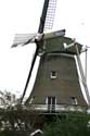 Mill de Hond (the Dog) Paesens / Netherlands: 