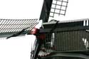 Molen de Hond Paesens / Nederland: 