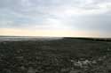 View on Waddenzee Paesens / Netherlands: 