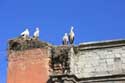 Porte (bab) Agnaou Marrakech / Maroc: 