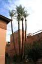 Tombeaux Saadiens Marrakech / Maroc: 