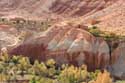 Valley Tajegujite / Morocco: 