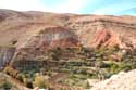 Valley Tajegujite / Morocco: 