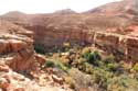 Vallei met Grotwoningen Tajegujite / Marokko: 