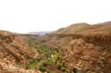 View on Valley Tajegujite / Morocco: 