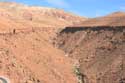 Paradis sur Terre Tajegujite / Maroc: 