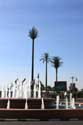 Transmission Tower in form of Palm Tree Marrakech / Morocco: 