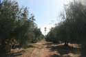 Jardin Mnara Marrakech / Maroc: 