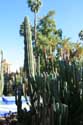 Jardin Majorelle Marrakech / Maroc: 