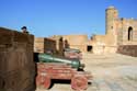 Enceinte de Ville Ouest et Bombardes Portugaises du 16 sicle Essaouira / Maroc: 