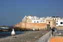 Meeuwen Essaouira / Marokko: 