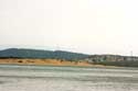 Vue sur Dunes et Plage Essaouira / Maroc: 