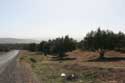 Uitzicht Ouled Khellouf / Marokko: 
