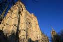 Saint Andrew's Cathedral Bordeaux / FRANCE: 