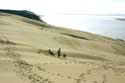 Dune Pyla sur Mer / FRANCE: 