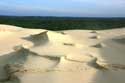 Dune Pyla sur Mer / FRANCE: 