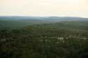 Vue sur les Forrts des Landes Pyla sur Mer / FRANCE: 