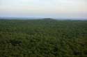 View on the Landes Forests Pyla sur Mer / FRANCE: 