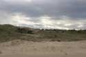 Dunes Le-Verdon-Sur-Mer / FRANCE: 