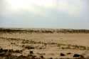 Dunes Le-Verdon-Sur-Mer / FRANCE: 