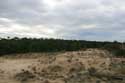 Dunes Le-Verdon-Sur-Mer / FRANCE: 