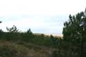 Dunes et mer Le-Verdon-Sur-Mer / FRANCE: 