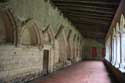 glise Collgiale Saint-milion Saint-Emilion / FRANCE: 