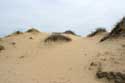 Duinen Slunchev Briag/Sunny Beach / Bulgarije: 