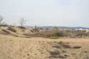 Dunes Slunchev Briag/Sunny Beach / Bulgaria: 