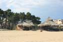 Middle Beach and Pier Slunchev Briag/Sunny Beach / Bulgaria: 