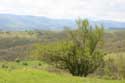 Mountain View Zheravna in Kotel / Bulgaria: 