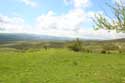 Mountain View Zheravna in Kotel / Bulgaria: 