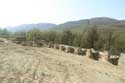 Trayanovi Vrata Ruins (Trayan's Gate) Mirovo in IHTIMAN / Bulgaria: 