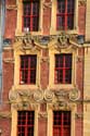 Coq Hardi LILLE / FRANCE: 