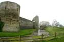 Chteau-Fort de Pevensey Pevensey / Angleterre: 