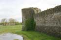 Chteau-Fort de Pevensey Pevensey / Angleterre: 