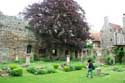 Cathdrale Canterbury / Angleterre: 