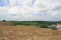 View with tree Sinemorets / Bulgaria: 