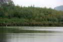 Bourgoyen - Ossemeersen natuurreservaat GENT foto: 