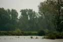 Bourgoyen - Ossemeersen natuurreservaat GENT foto: 