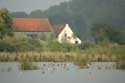 Ferme Maison des Faucons GAND / BELGIQUE: 