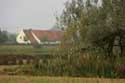 Falkon's Farm GHENT / BELGIUM: 