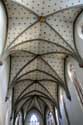Fancisncanes Church Fribourg / Switzerland: 