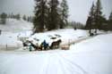 Horse carriage Sils im Engadin/Segl / Switzerland: 